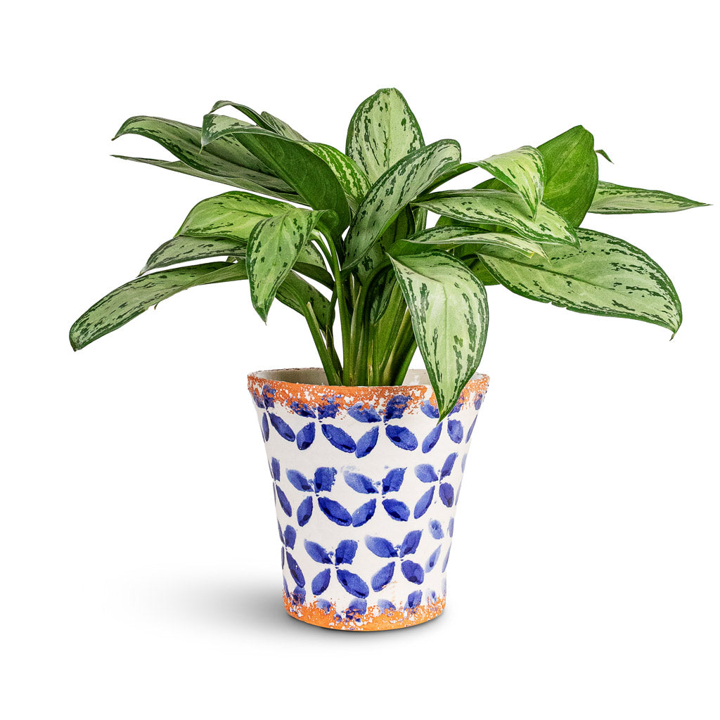 Porto Plant Pot - Blue Tile