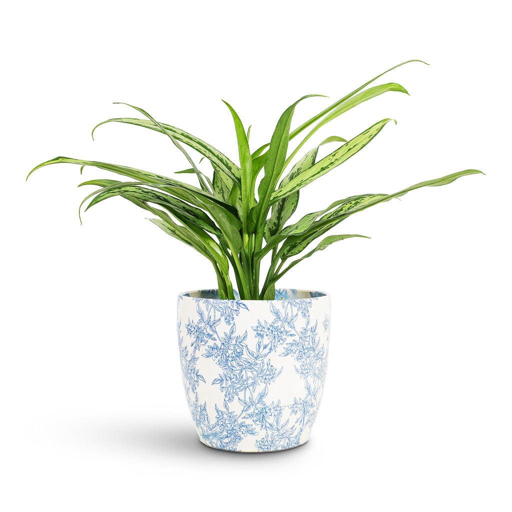 Monza Plant Pot - Vintage Foliage