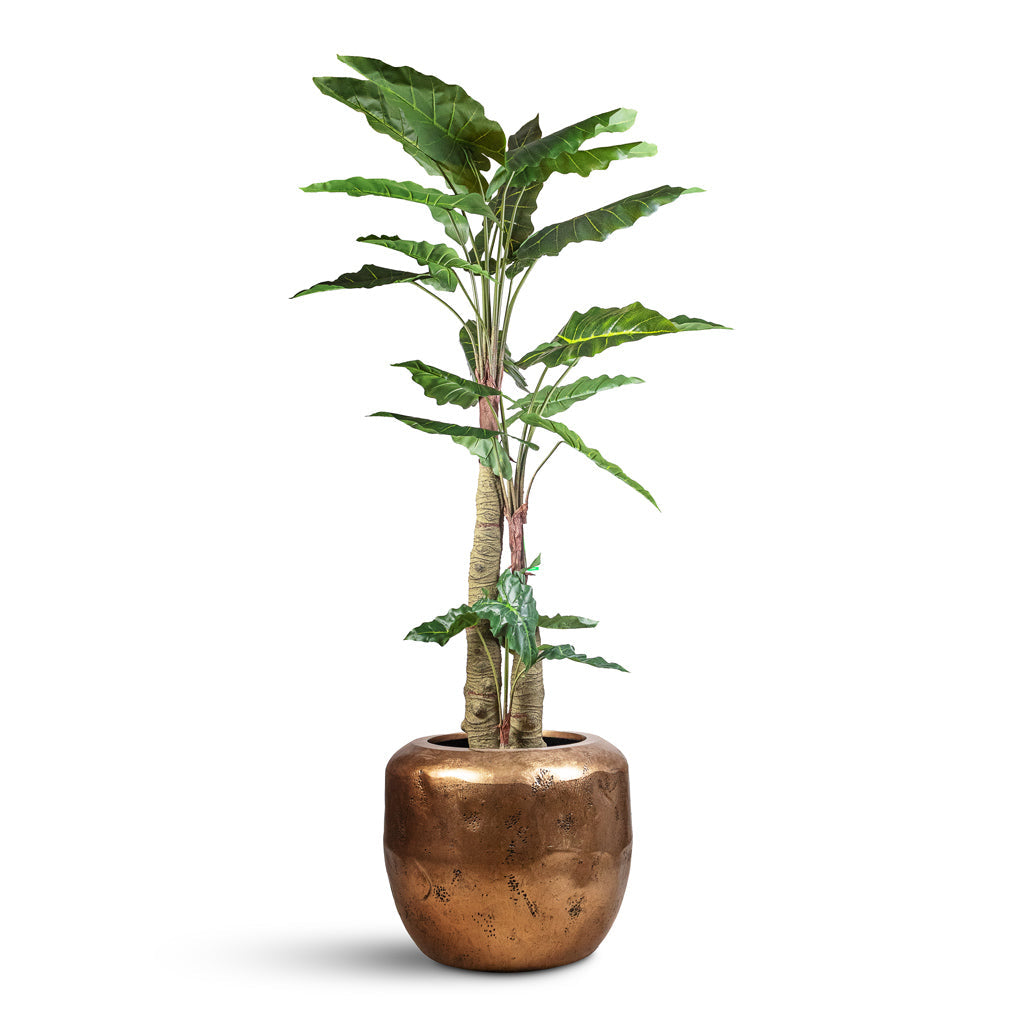 Opus Raw Couple Planter - XL Plant Display