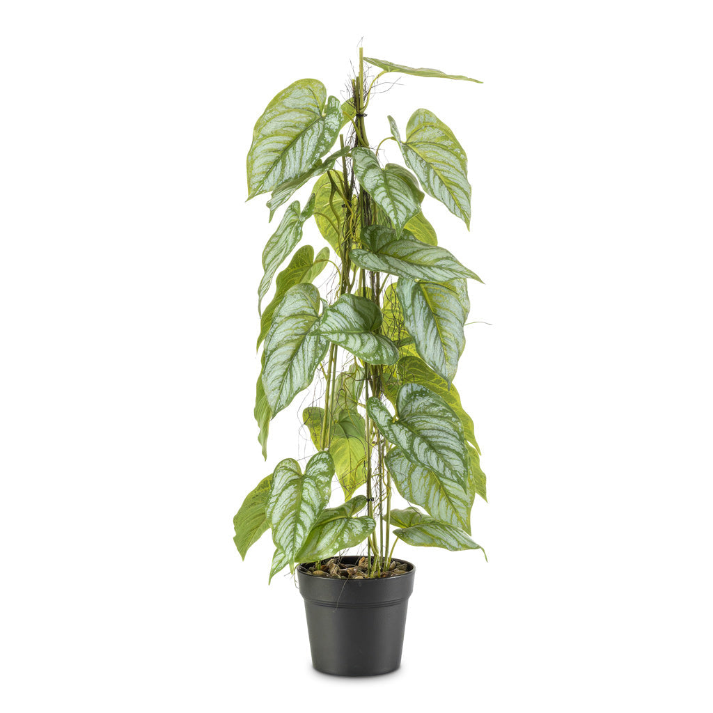 Anthurium Pyramid - Potted - Artificial