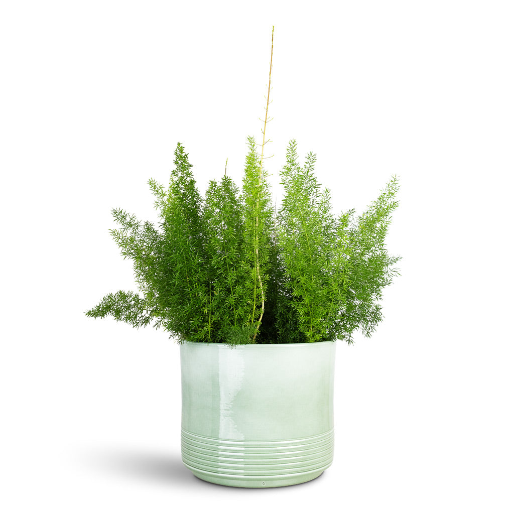 Munich Plant Pot - Green Gloss