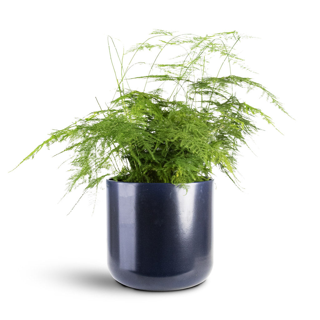 Lisbon Plant Pot - French Navy