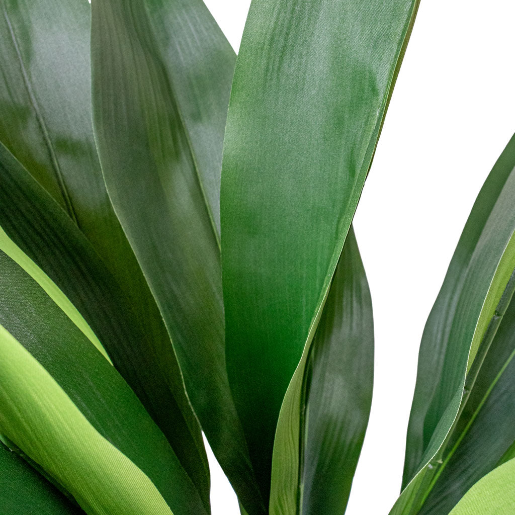 Aspidistra - Cast Iron - Potted - Artificial