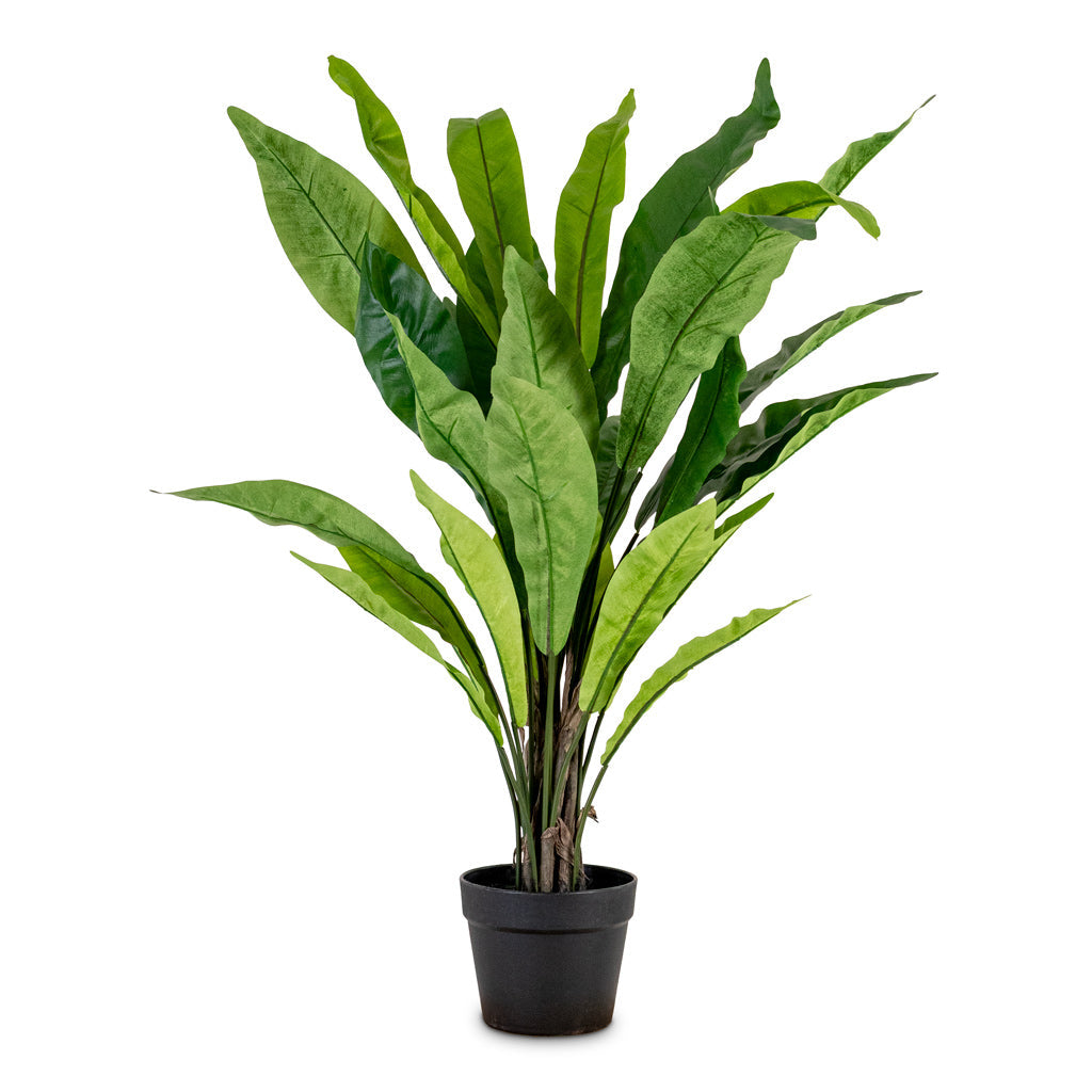 Asplenium Fern - Potted - Artificial