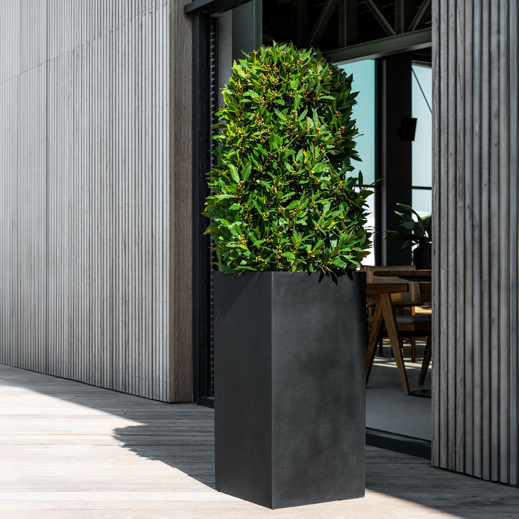 Bouvy Natural Planter - Large Plant Display