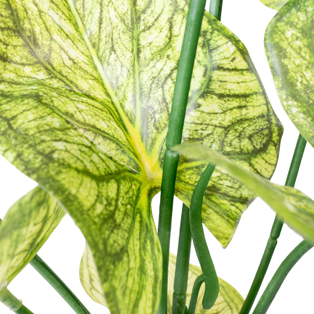 Caladium - Green Yellow - Potted - Artificial