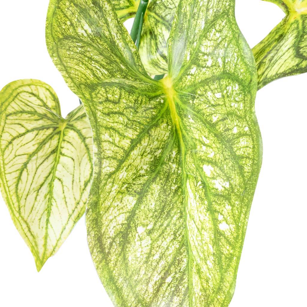 Caladium - Green Yellow - Potted - Artificial
