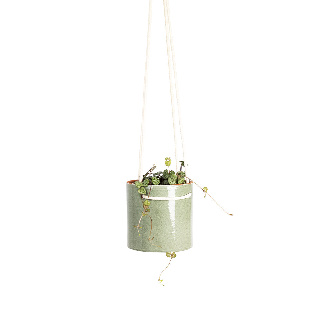 Kai Hanging Plant Pot - Mint