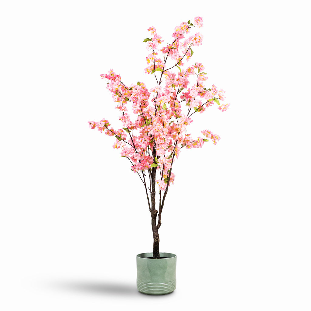 Munich Plant Pot - Green Gloss