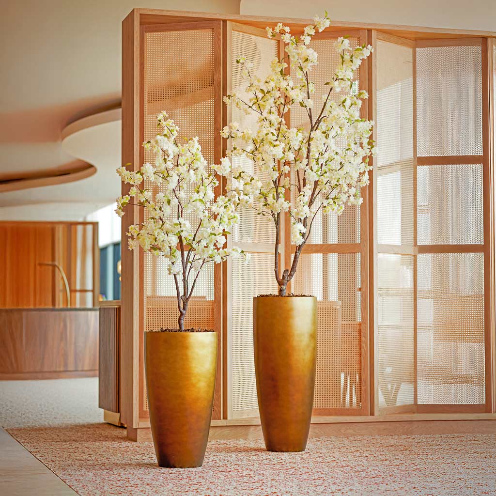 Gradient Partner Planter - Large Plant Display