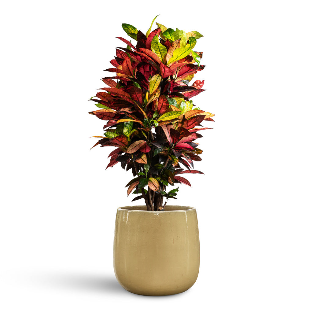 Aura Balloon Planter - Cream