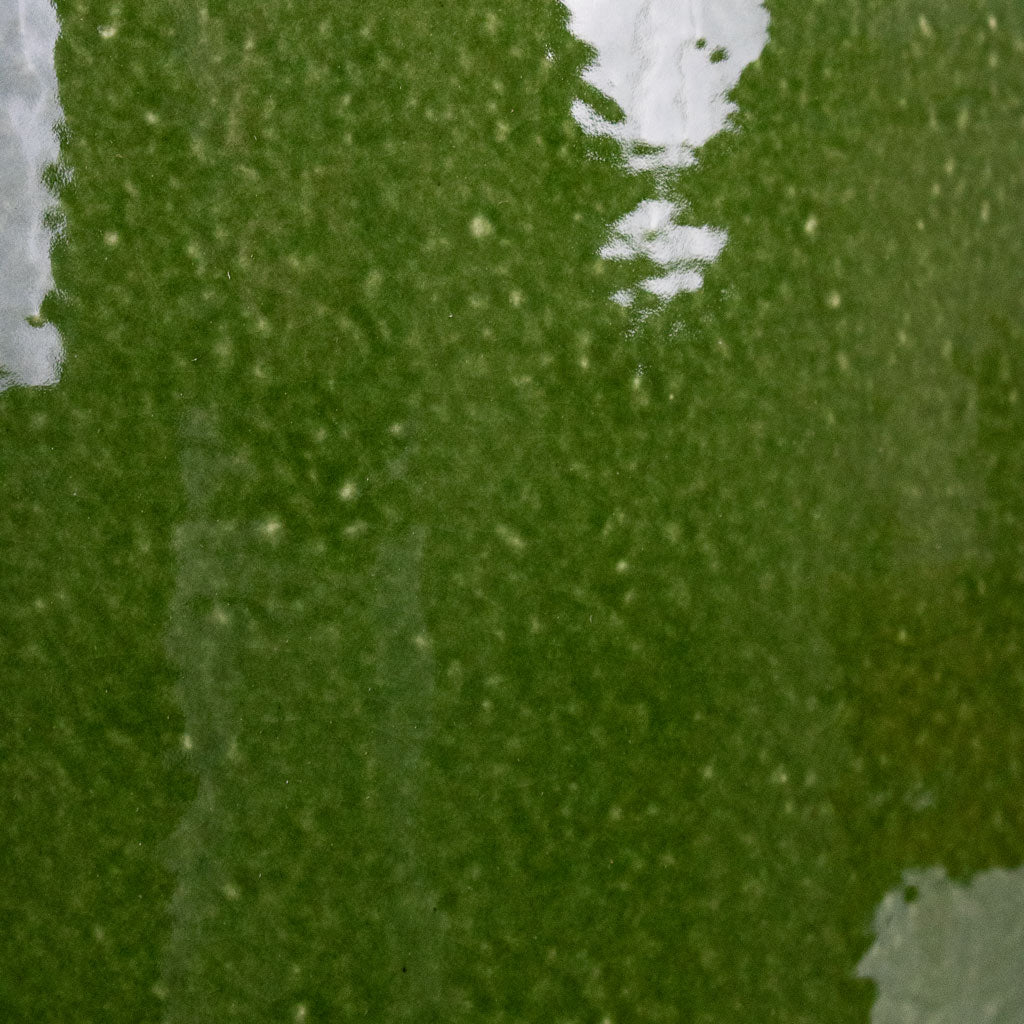 Common Plant Pot - Shiny Emerald