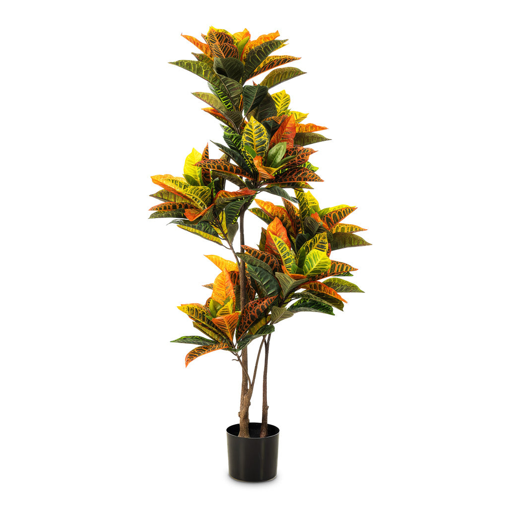 Croton Petra - Potted - Artificial
