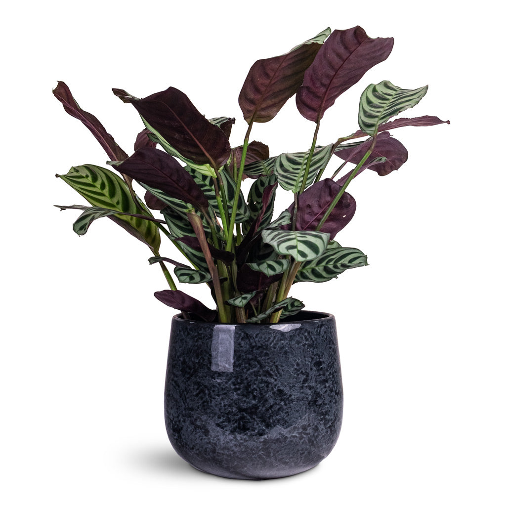 Emmie Metal Plant Pot - Mystic Blue