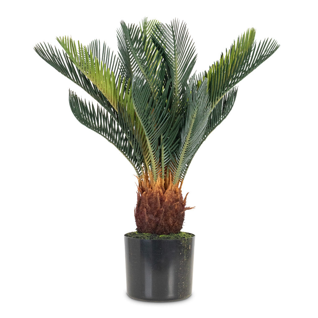 Cycas revoluta Palm - Potted - Artificial