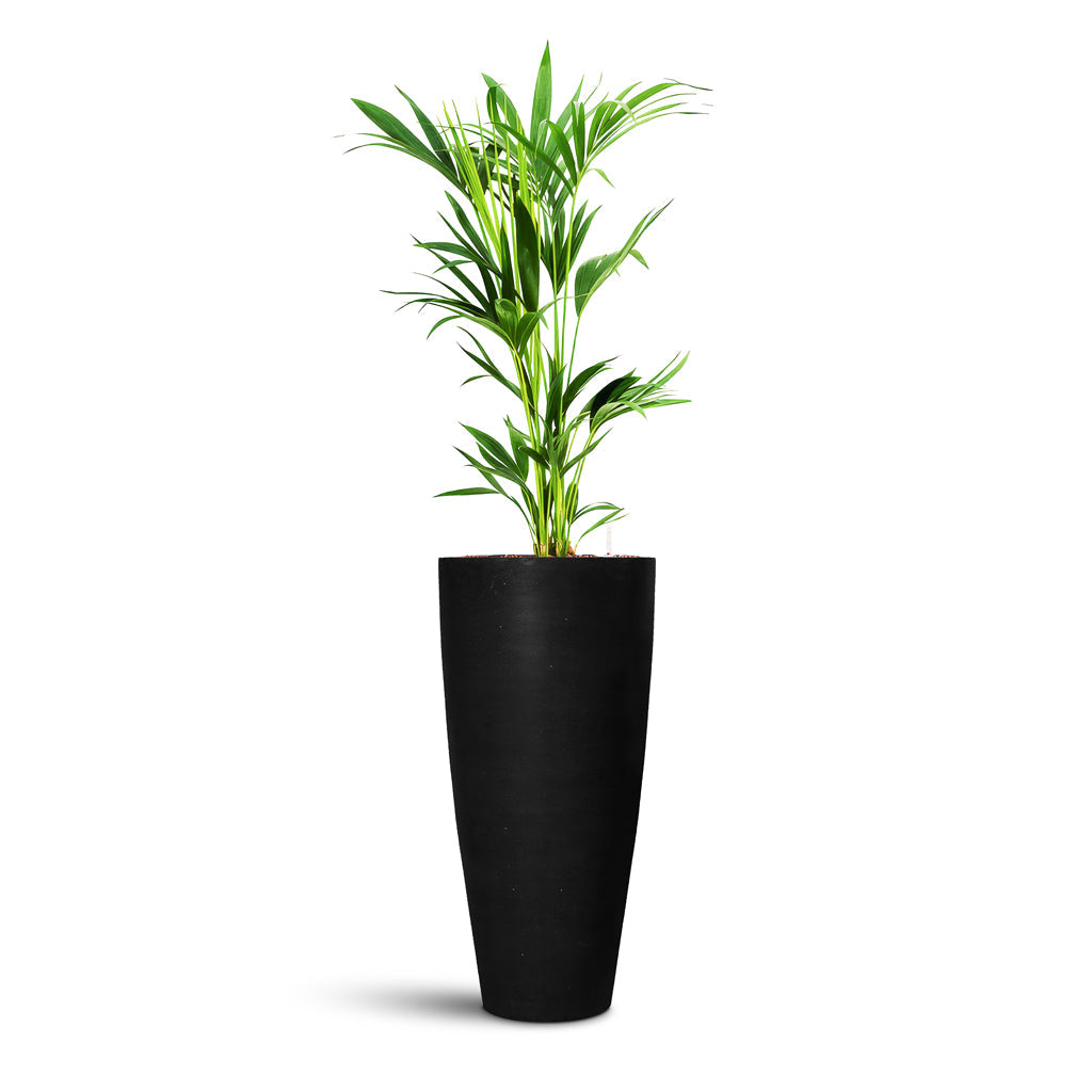 Dax Natural Tall Planter - XL Plant Display