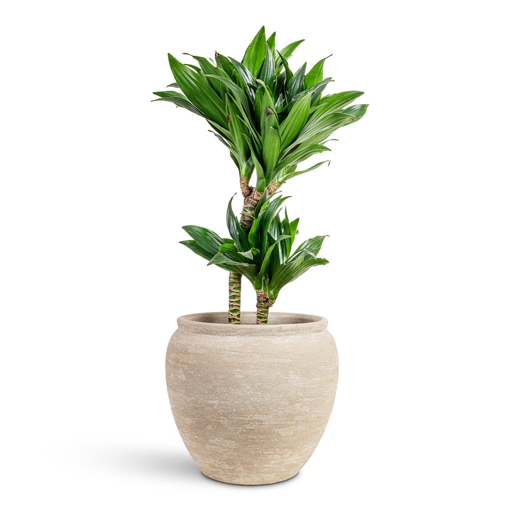 Milos Plant Pot - Lunar