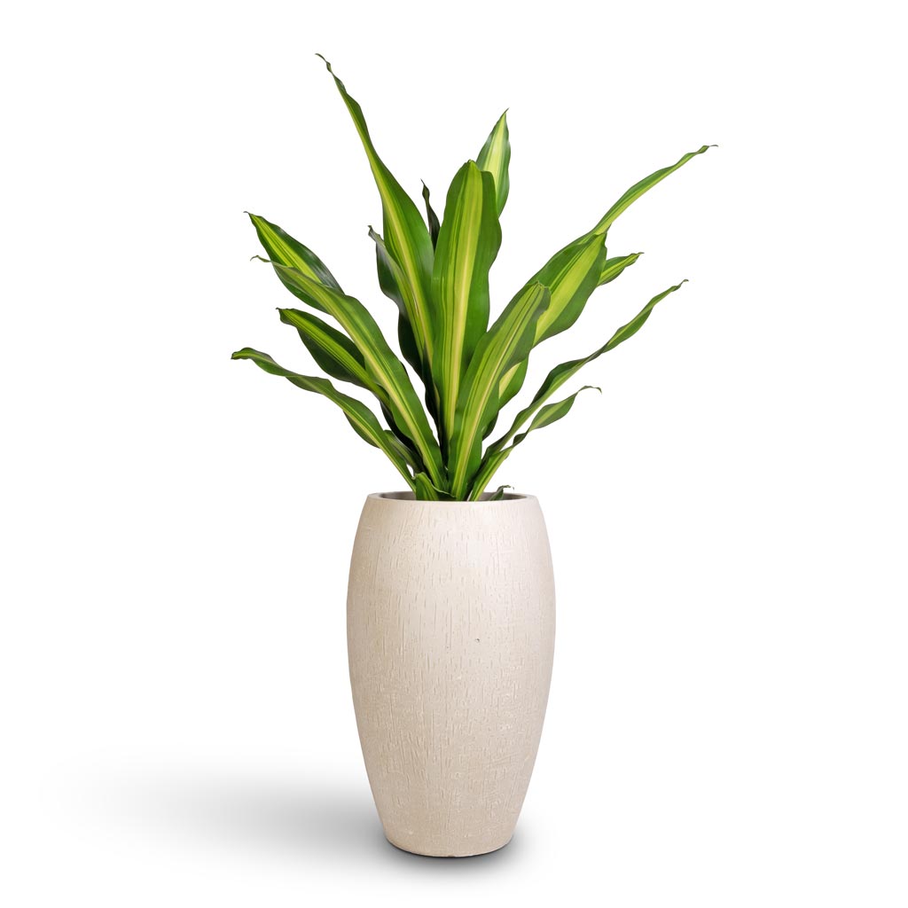 Raindrop Tall Balloon Planter - Large Plant Display