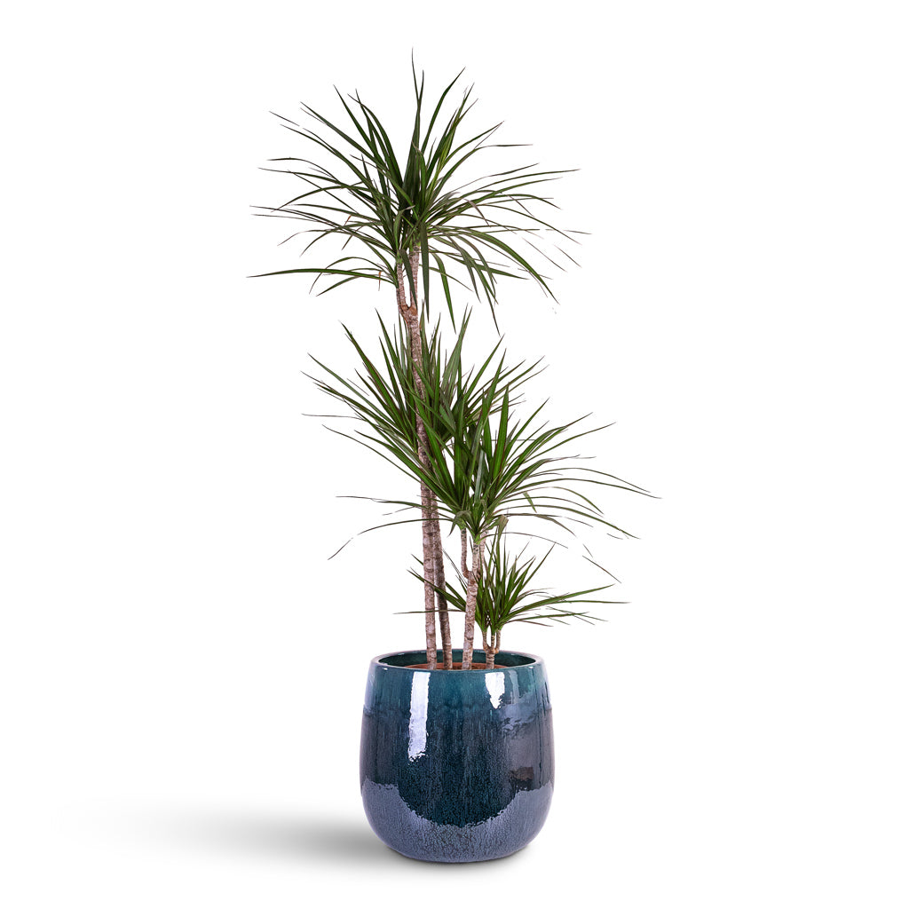 Aura Balloon Planter - Ocean Blue