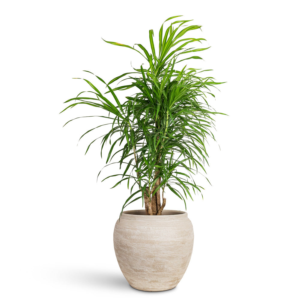 Milos Plant Pot - Lunar
