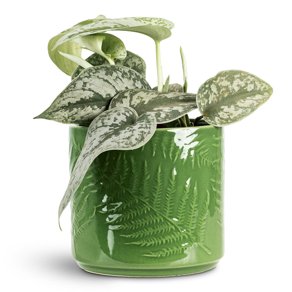 Orla Fern Plant Pot - Emerald