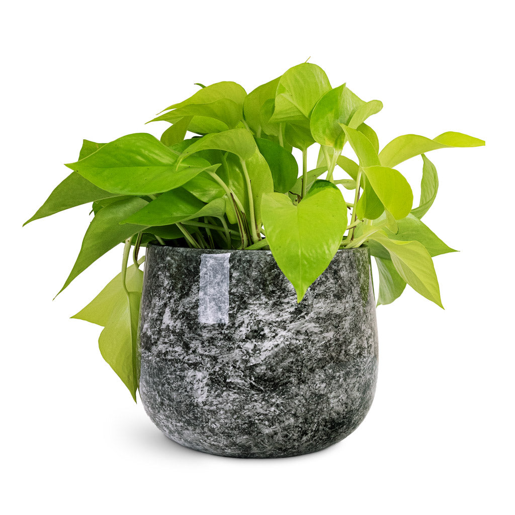 Emmie Metal Pot - Mystic Grey