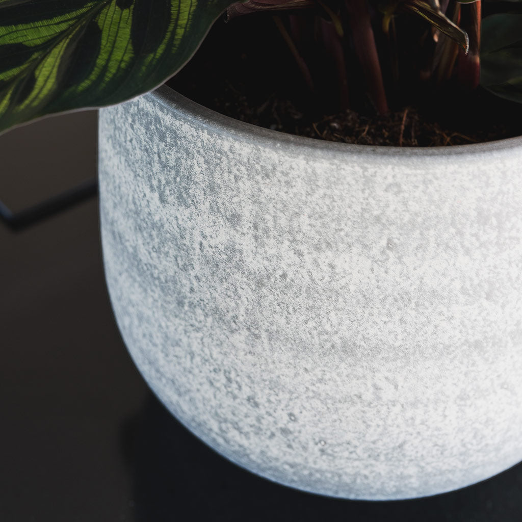 Esra Plant Pot - Concrete