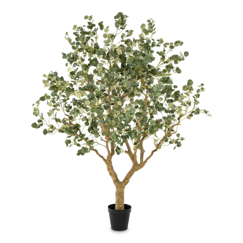 Eucalyptus Botanic Tree - Potted - Artificial