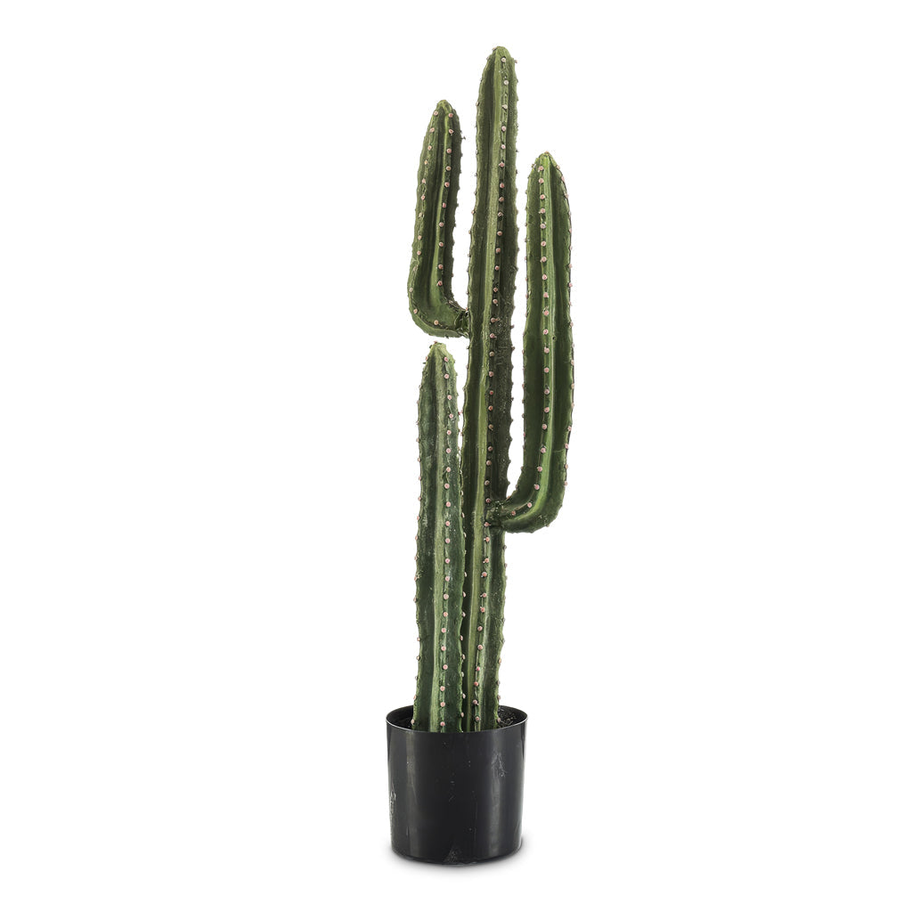 Euphorbia canariensis Cactus - Potted - Artificial