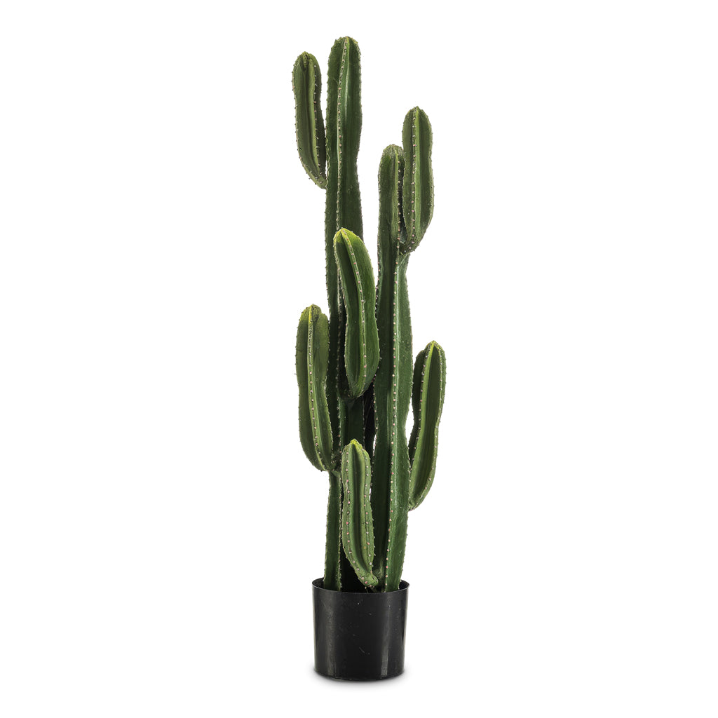 Euphorbia ingens Cactus - Potted - Artificial