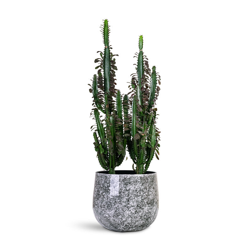 Emmie Metal Pot - Mystic Grey