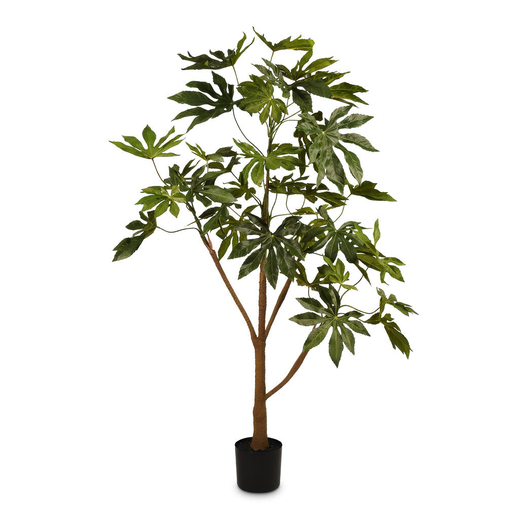 Fatsia japonica - Potted - Artificial