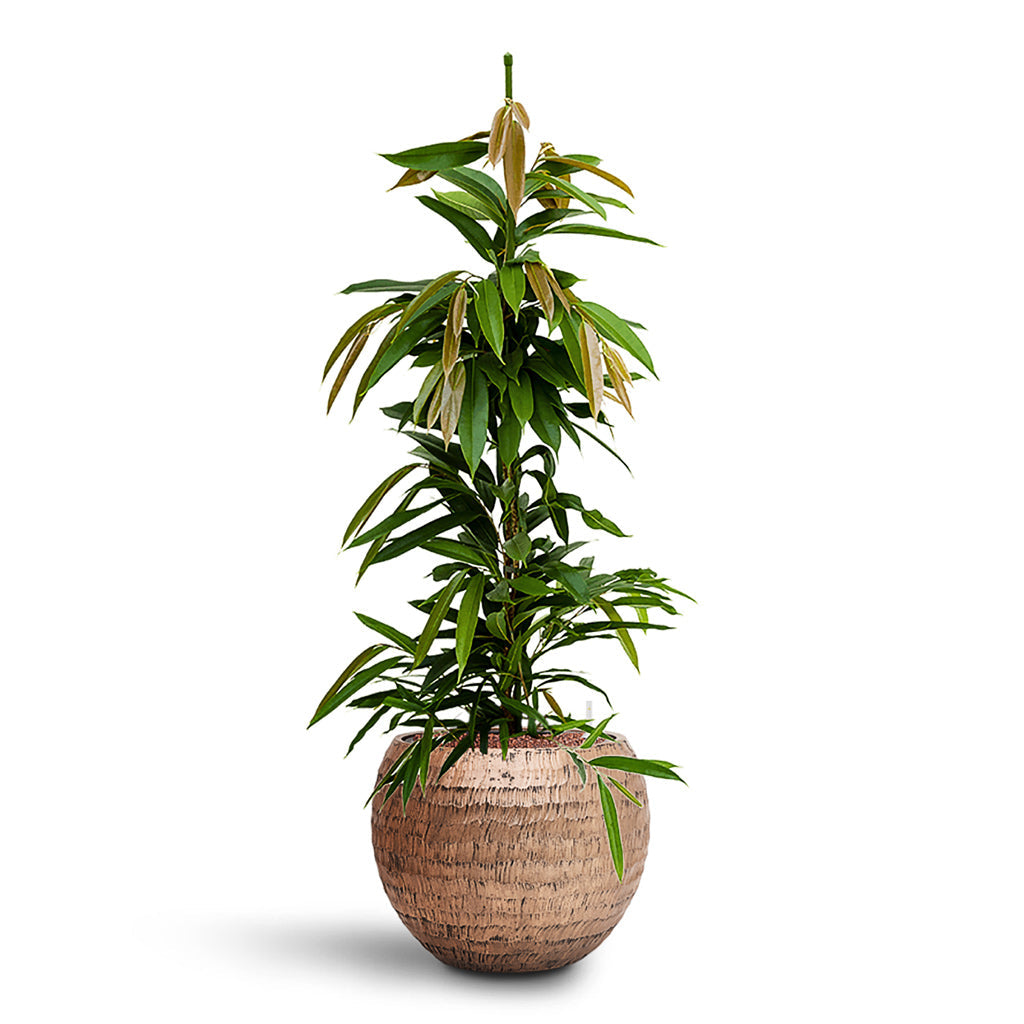 Opus Hammered Globe Planter - Large Plant Display