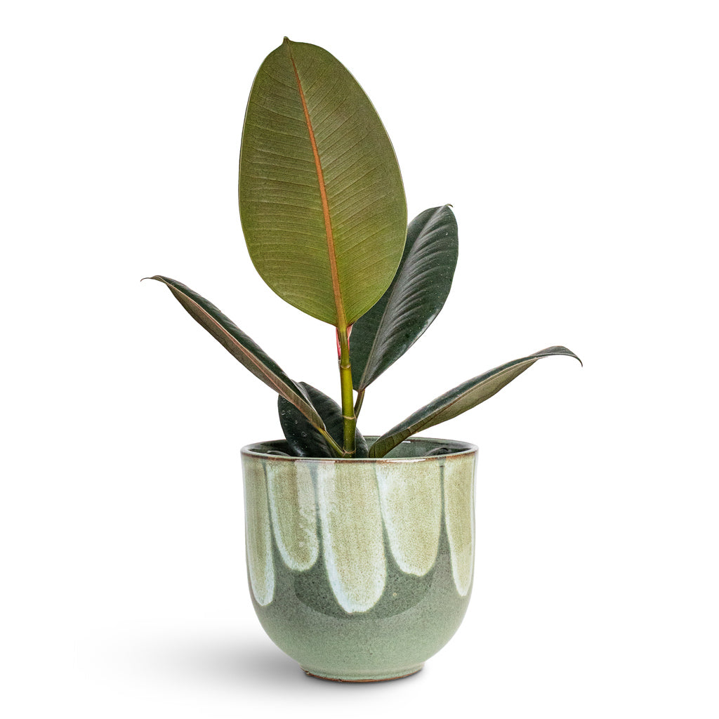 Rowe Glaze Plant Pot - Green Drip