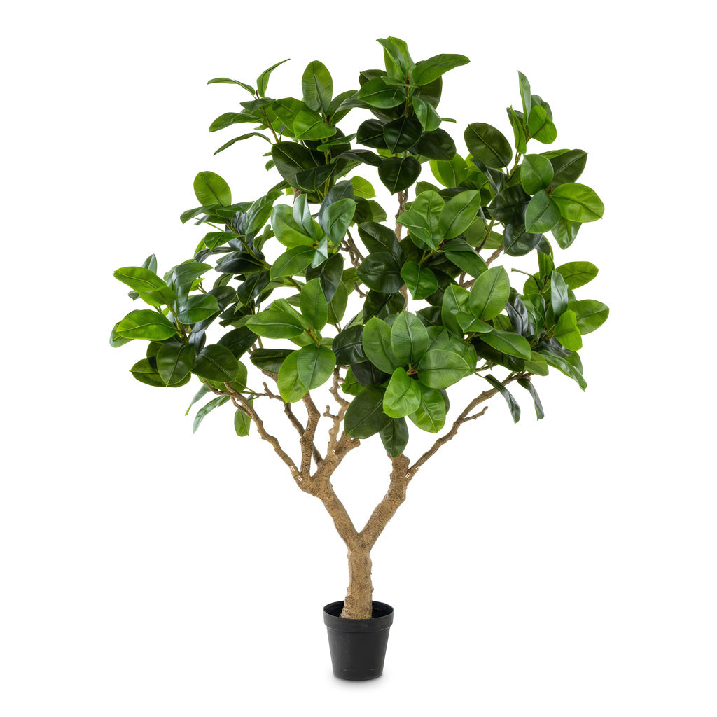 Ficus elastica Botanic Tree - Potted - Artificial