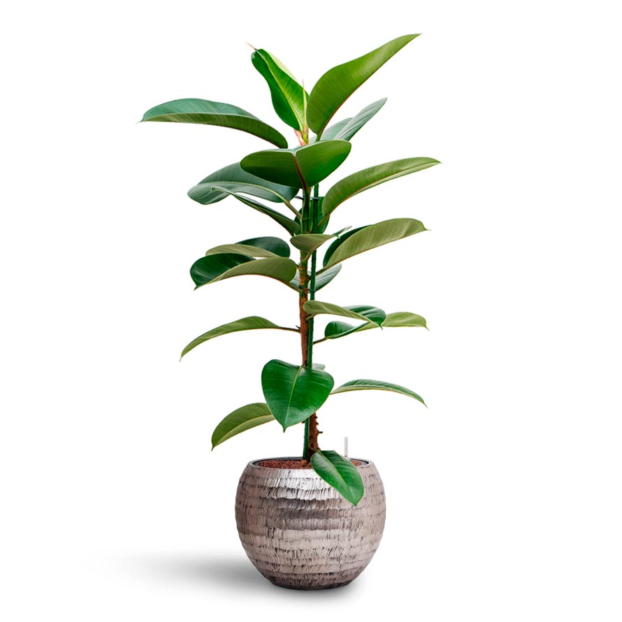 Opus Hammered Globe Planter - XL Plant Display