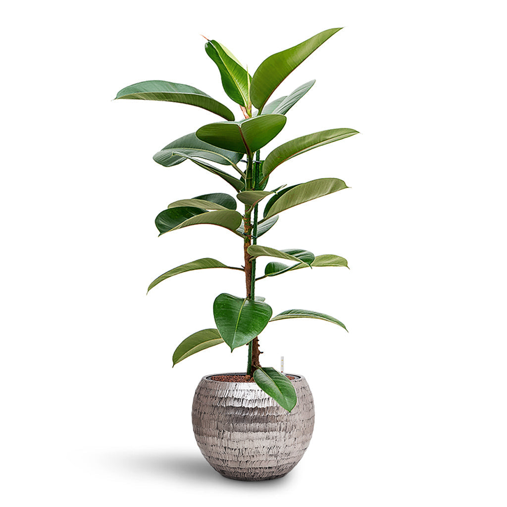 Opus Hammered Globe Planter - XL Plant Display