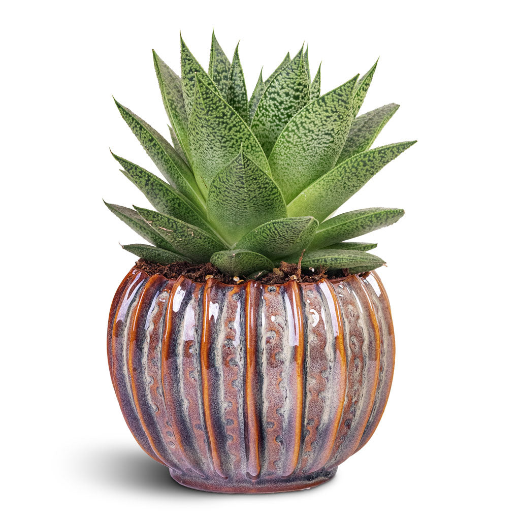 Cassie Plant Pot - Mint