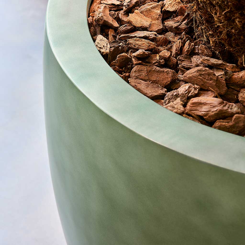 Gradient Balloon Planter - Large Plant Display