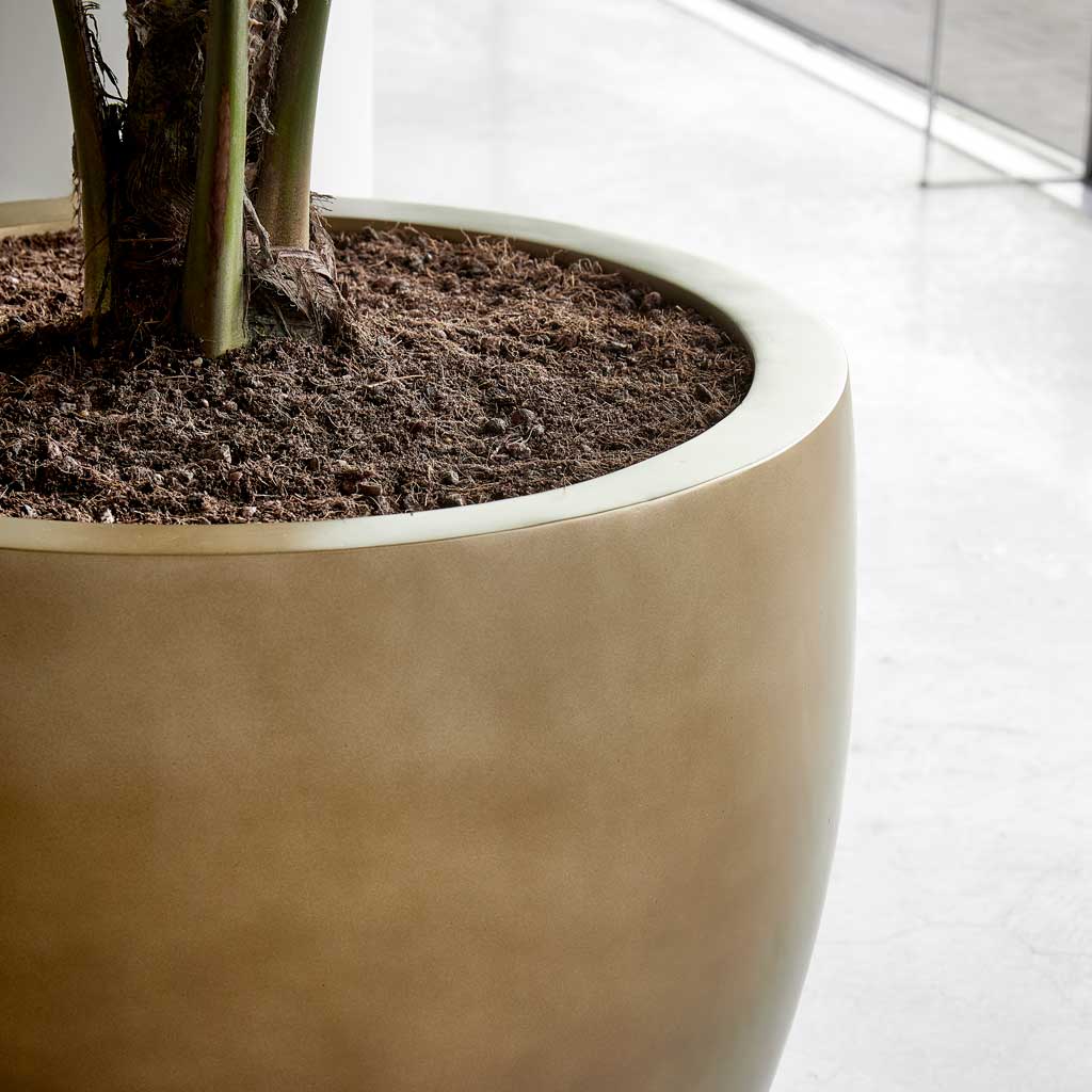 Gradient Couple Planter - XL Plant Display