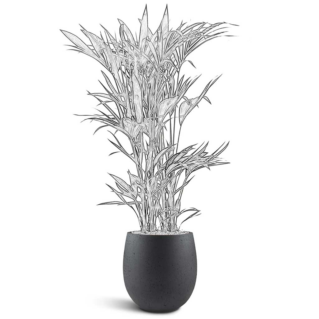 Grigio Balloon - XL Plant Display