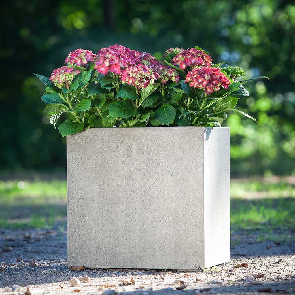 Grigio Cube Planter - XL Plant Display