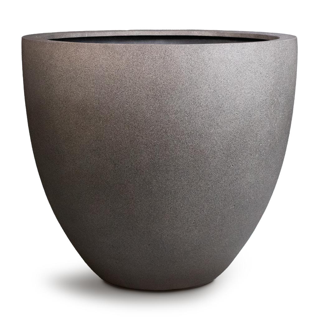 Grigio Egg Pot - Large Plant Display