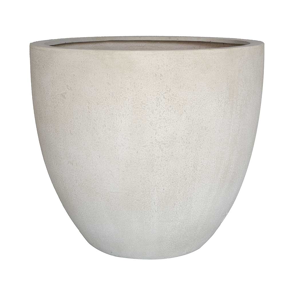 Grigio Egg Pot - Large Plant Display