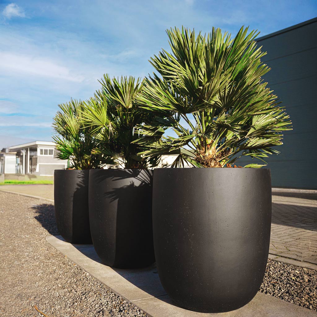 Grigio Tall Egg Pot - XL Plant Display