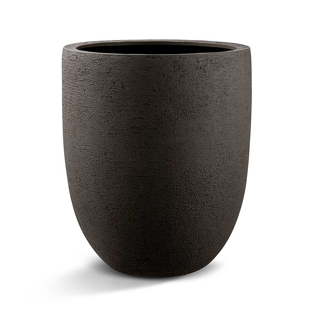 Grigio Tall Egg Pot - Large Plant Display