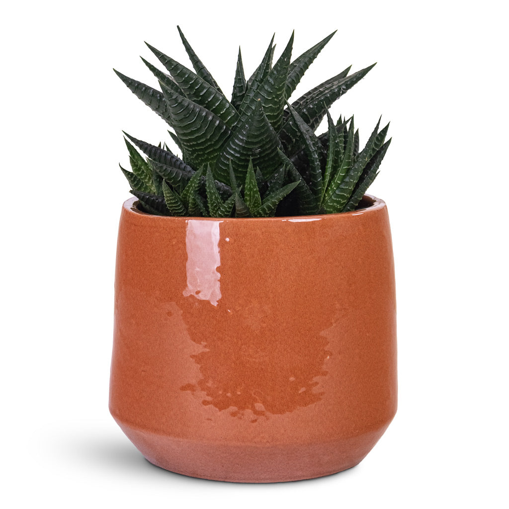 Common Plant Pot - Shiny Brick