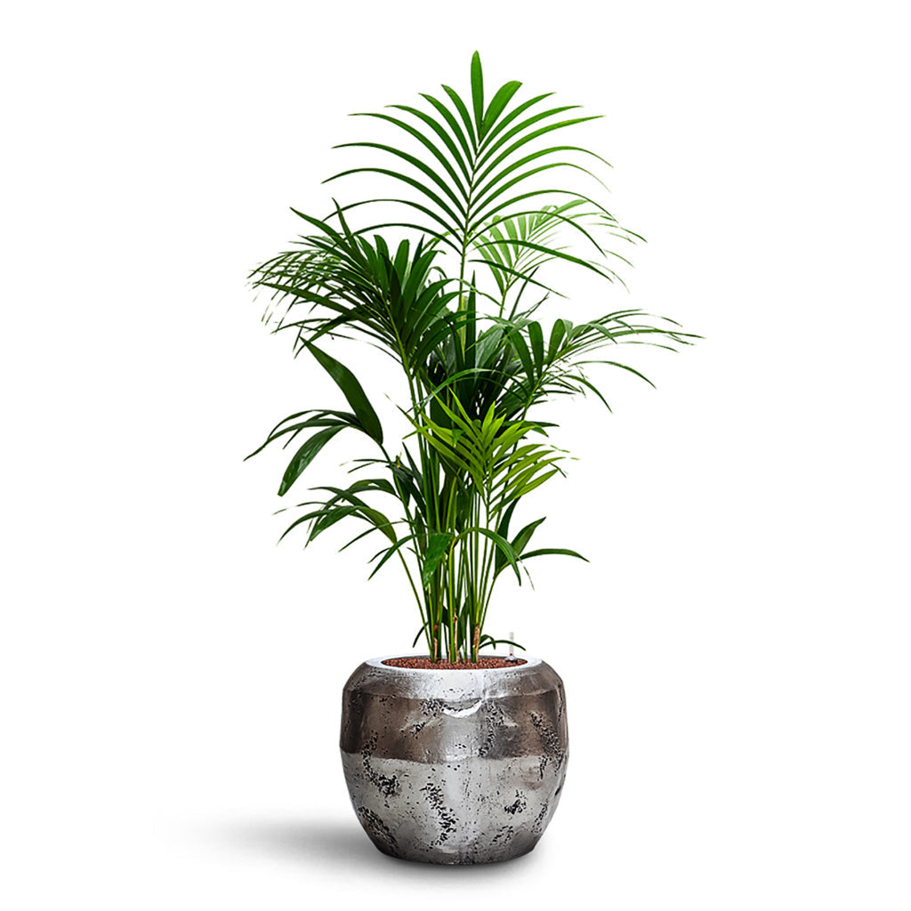 Opus Raw Couple Planter - XL Plant Display