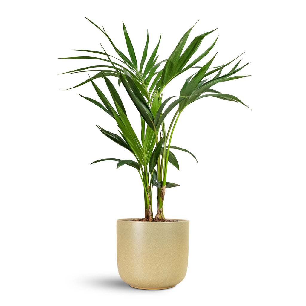 Nine Plant Pot - Concrete