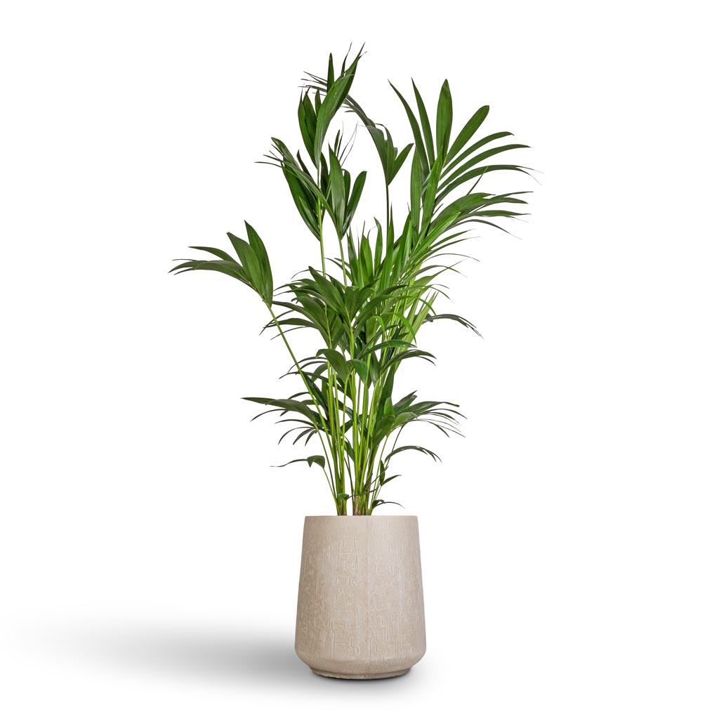 Raindrop Tube High Round Planter - Large Plant Display